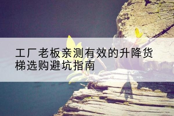忻城升降货梯怎么选-工厂老板亲测有效的升降货梯选购避坑指南
