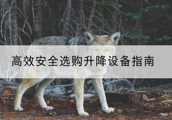 忻城升降货梯厂家推荐-*安全选购升降设备指南