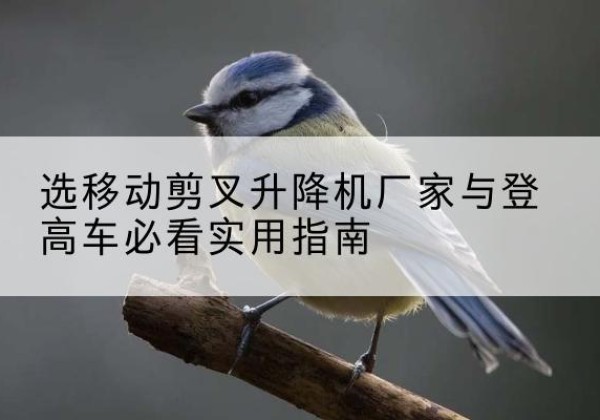 忻城电动升降机厂家-选移动剪叉升降机厂家与登高车必看实用指南