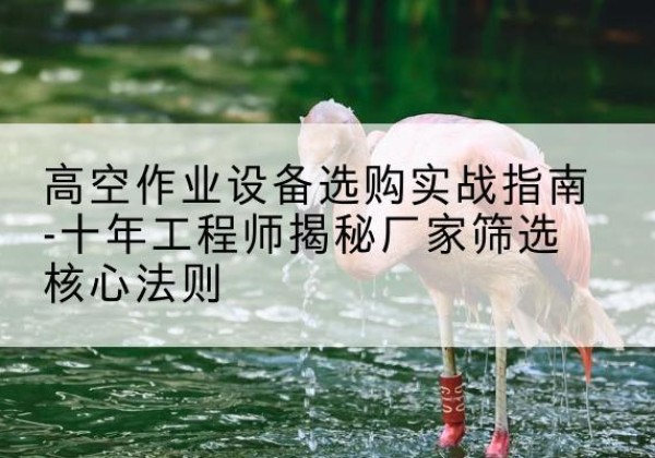 忻城剪叉式升降机厂家-高空作业设备选购实战指南-十年工程师揭秘厂家筛选核心法则