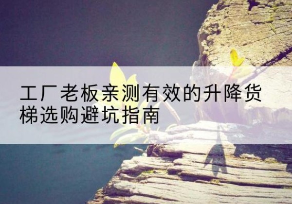 忻城升降货梯怎么选-工厂老板亲测有效的升降货梯选购避坑指南